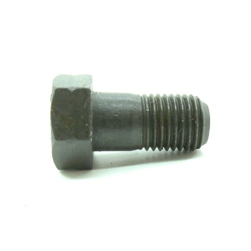 Flywheel bolt