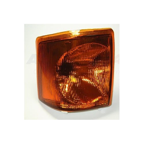 Indicator assembly - RH - Disco1 300TDi