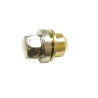 Alloy nut with cap Def/Disco1/RRC