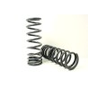 Coil springs rear Def110 - light load