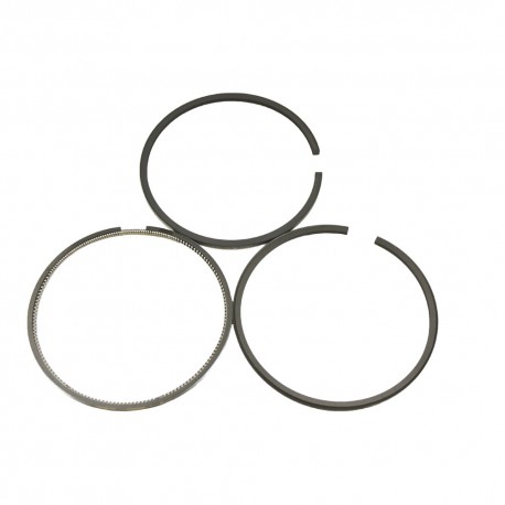 Piston rings set - std size - 300TDi