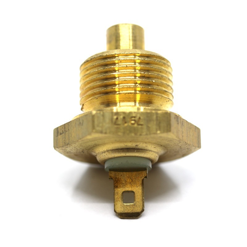 Sonde de température - 2.5L VM