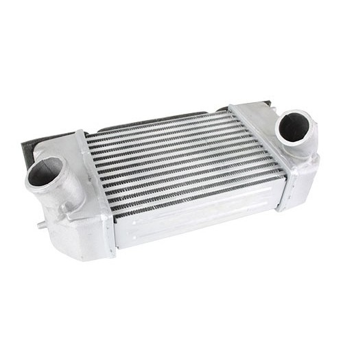 Intercooler 300TDi