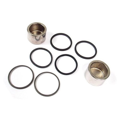 Pistons and seal repair kit - rear caliper
