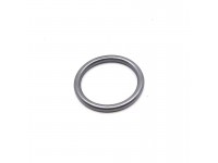 O ring fuel filter - P38
