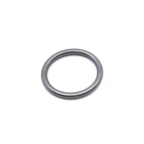 O ring fuel filter - P38