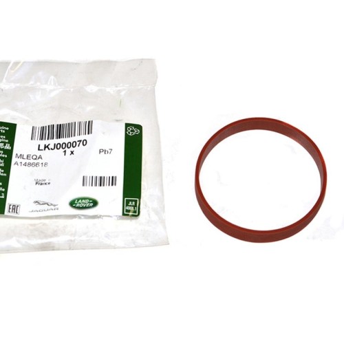 Joint entre vanne EGR & collecteur admission