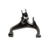Arm assy - Rear RH Suspension - lower