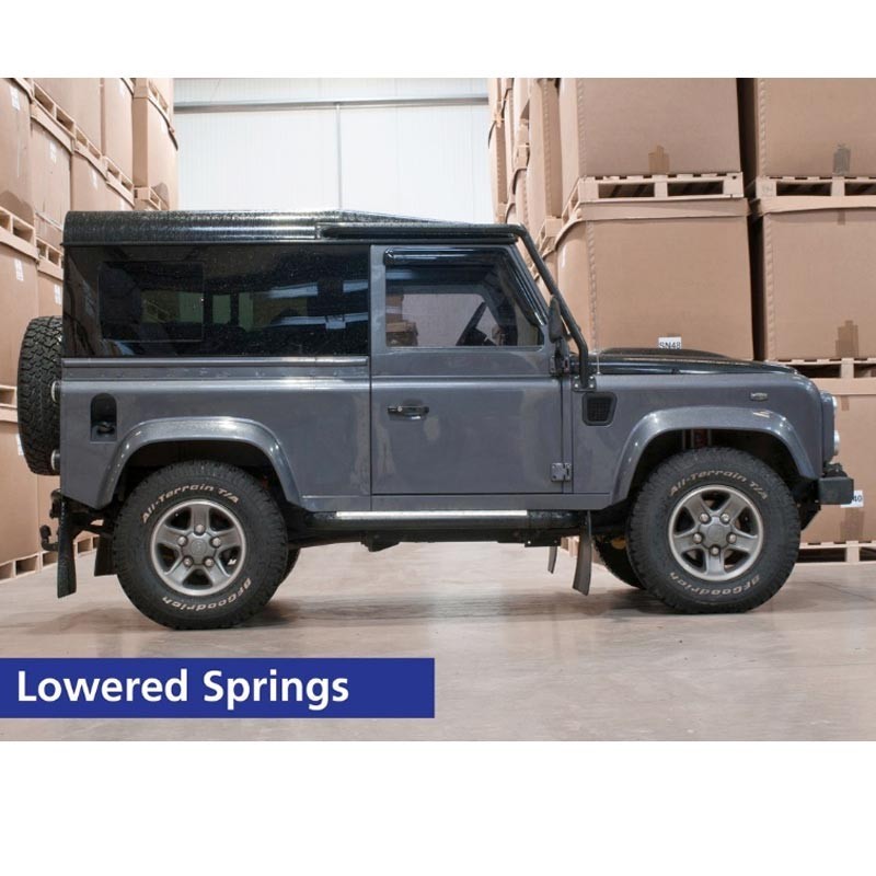 Lowered rear springs - pair