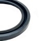 Oil seal rear crankshaft