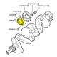 Oil seal rear crankshaft