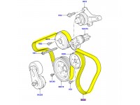 Drive belt 2.7L TDV6