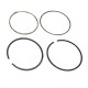 Set 1 piston rings 3.9L V8 - standard size