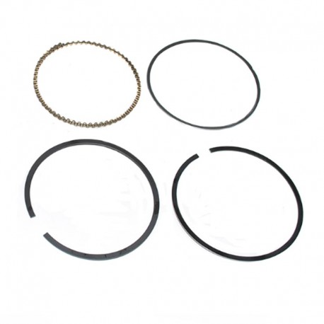 Set 1 piston rings 3.9L V8 - standard size