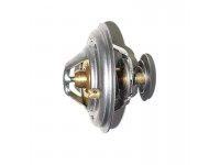 Thermostat 2,5TD P38