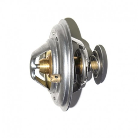 Thermostat 2.5TD P38