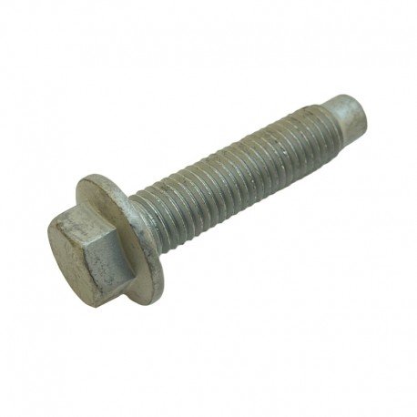 Bolt M14 x 55mm