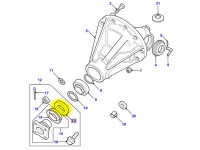 Oil seal differential pinion