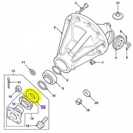 Oil seal differential pinion