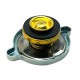 Radiator cap 9lbs pressure 1968-84