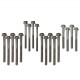 Cylinder head bolt set - 300TDi