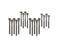 Cylinder head bolt set - 300TDi