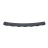 Rear bumper tread plate