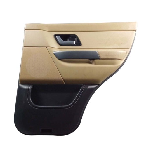 Rear interior door trim panel - RH