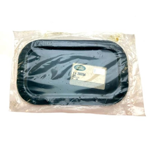 Tailgate license plate locking mechanism