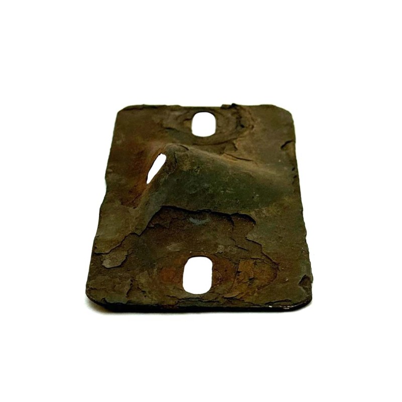 Cover plate for reverse stop - used