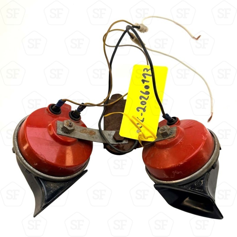 Pair of horns - Used