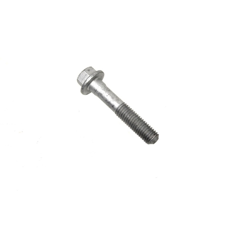 Bolt M10 x 55mm - triangle