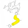 Water collector hose - 2.4L TDCi