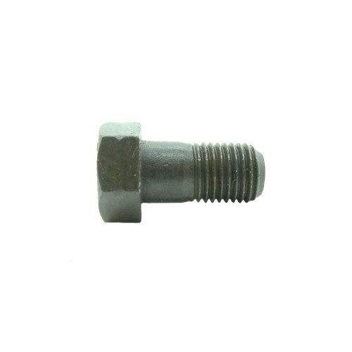 Flywheel bolt