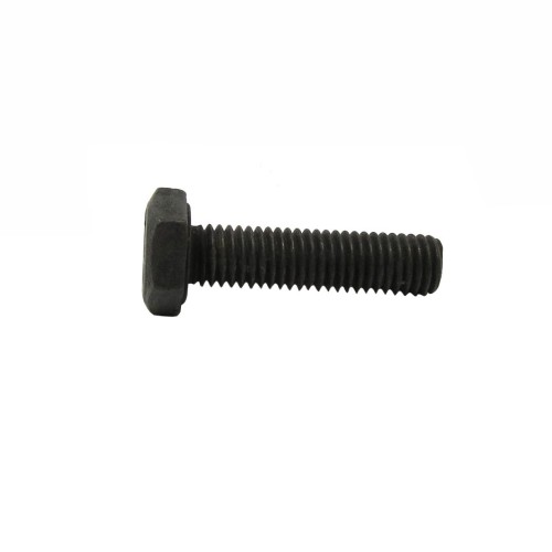 Vis 1/4 BSF x 1"