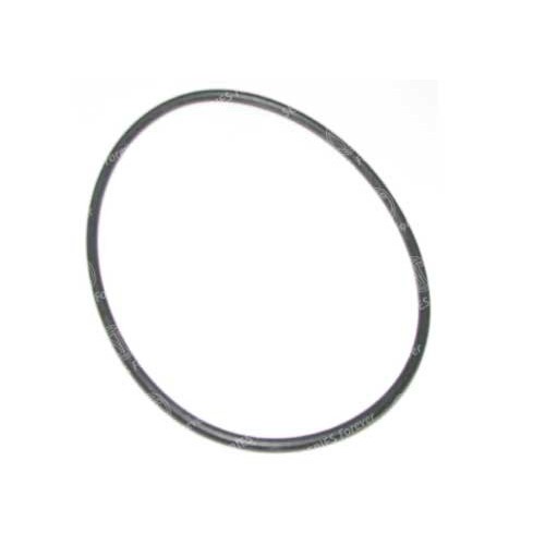 O Ring flywheel housing