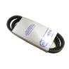 Courroie pompe à eau et air conditionné V8 3,5L & 3.9L