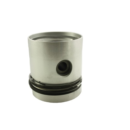 Piston assembly 2,25L petrol - .020"