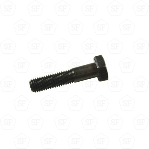 Vis M10 x 45