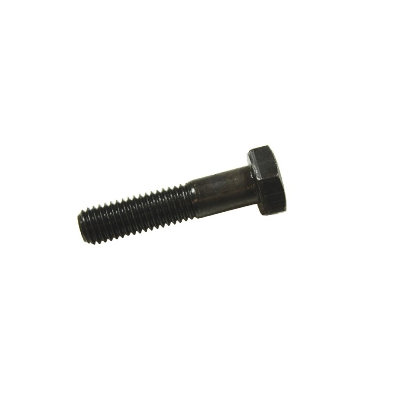 Bolt M10 x 45