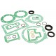 Gasket & seal kit LT230