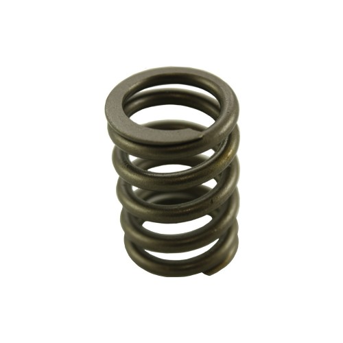 Valve spring