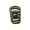 Valve spring