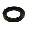 Oil seal for rear of mainshaft