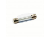 Glass fuse 30mm 20A