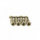 Front grille screw kit