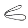 Alternator 24v belt