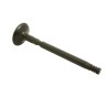 Exhaust valve